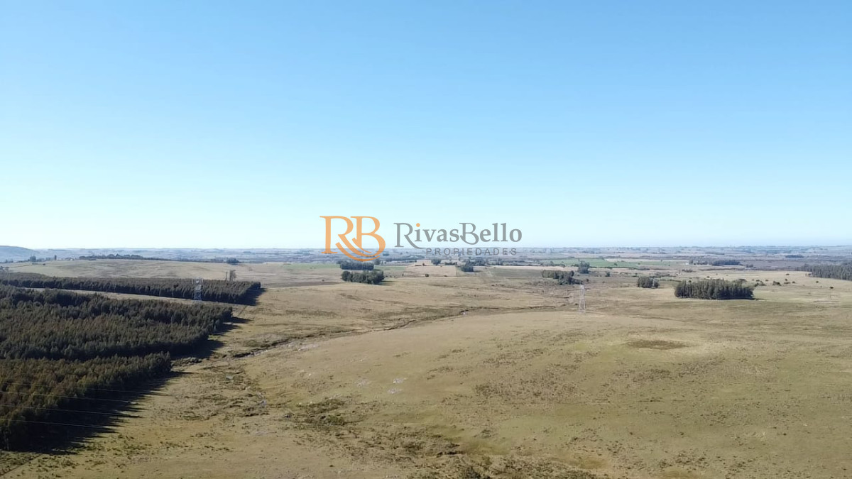 Campo Ref.113 - Venta de Campo de 103 Has Partido Norte