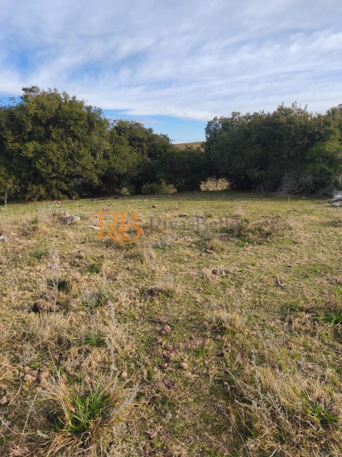 Campo Ref.109 - Venta de campo de 240 Has Zona Las Cañas