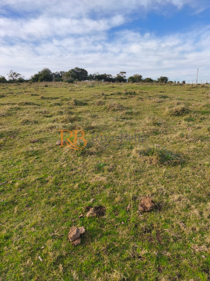 Campo Ref.109 - Venta de campo de 240 Has Zona Las Cañas