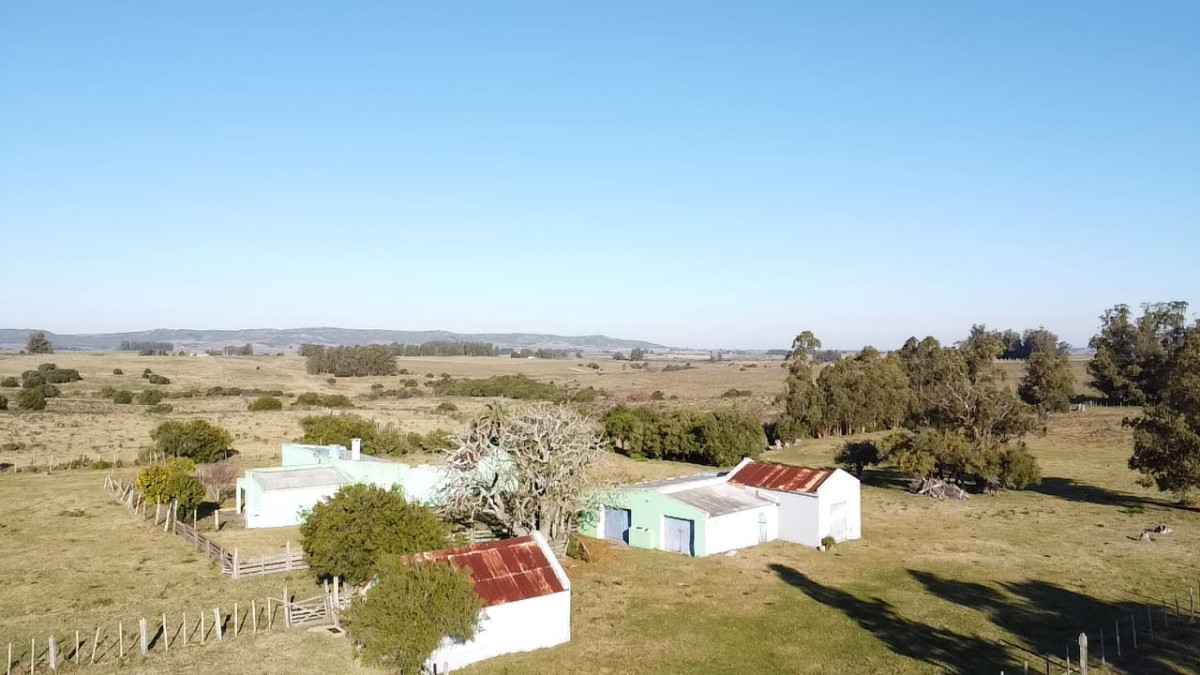 Venta de campo de 103 Has en Las Cañas