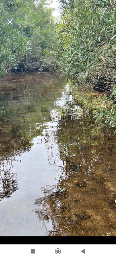 Venta de Campo Rocha 130 Ha