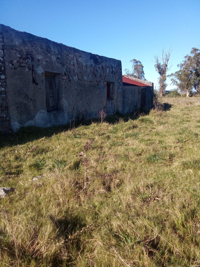Venta de campo 137 Ha Maldonado