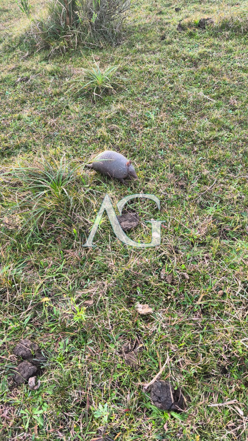 Chacra ID.181 - Venta de Chacra en Maldonado de 5 Ha