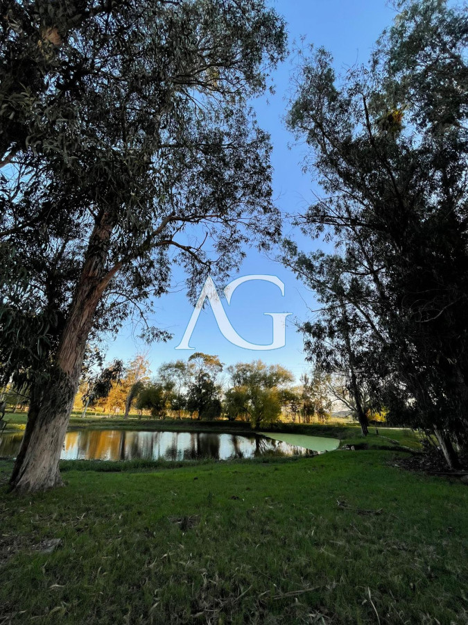 Chacra ID.183 - Venta de Chacra de 6 Ha con 2 casas  en Zanja de Chavez 