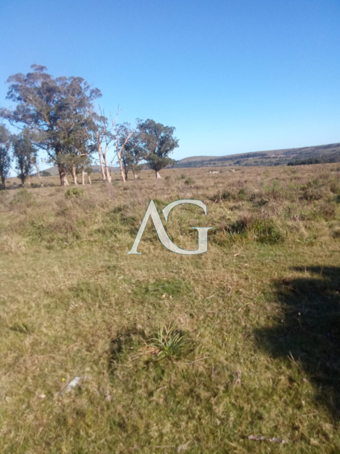 Chacra ID.181 - Venta de Chacra en Maldonado de 5 Ha