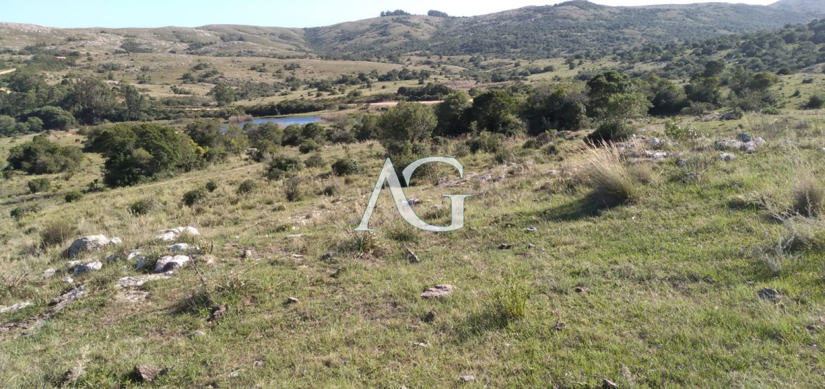 Chacra ID.181 - Venta de Chacra en Maldonado de 5 Ha