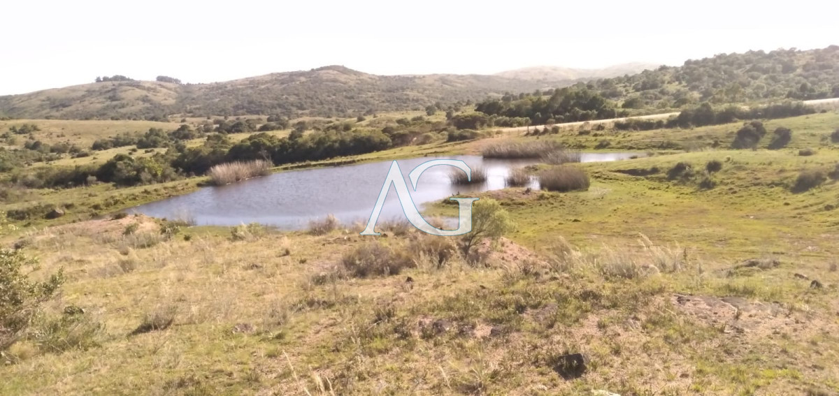 Chacra ID.182 - Venta de Chacra de 10 Ha en Aigua