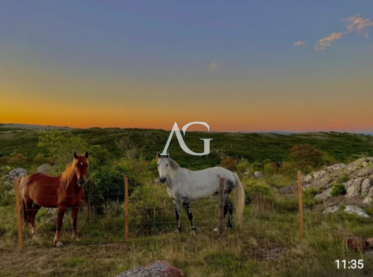 Chacra ID.256 - ? En venta: Chacra en Sierras de Carapé ?  Chacra de más de 5 hectáreas en uno de los puntos más altos de las Sierras de Carapé