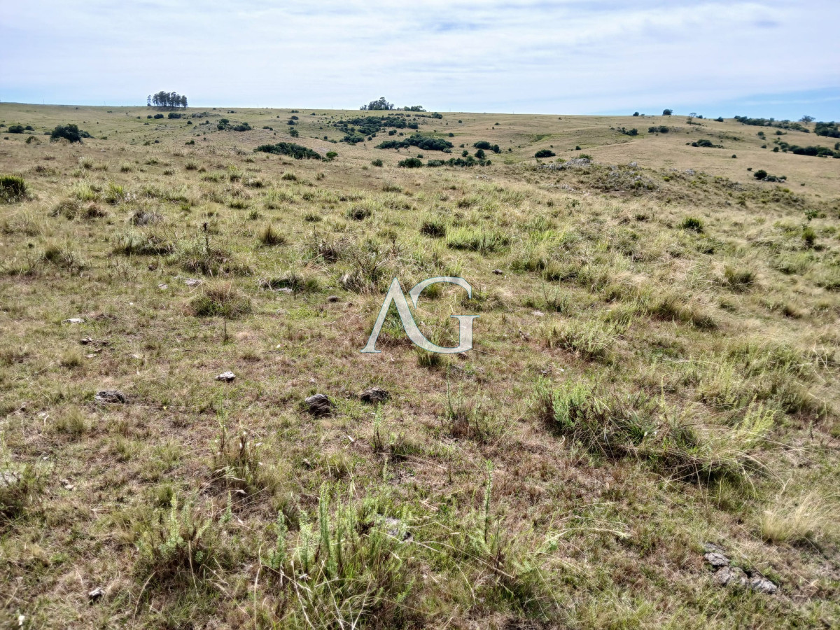 Chacra ID.181 - Venta de Chacra en Maldonado de 5 Ha