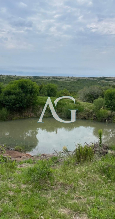 Chacra ID.256 - ? En venta: Chacra en Sierras de Carapé ?  Chacra de más de 5 hectáreas en uno de los puntos más altos de las Sierras de Carapé