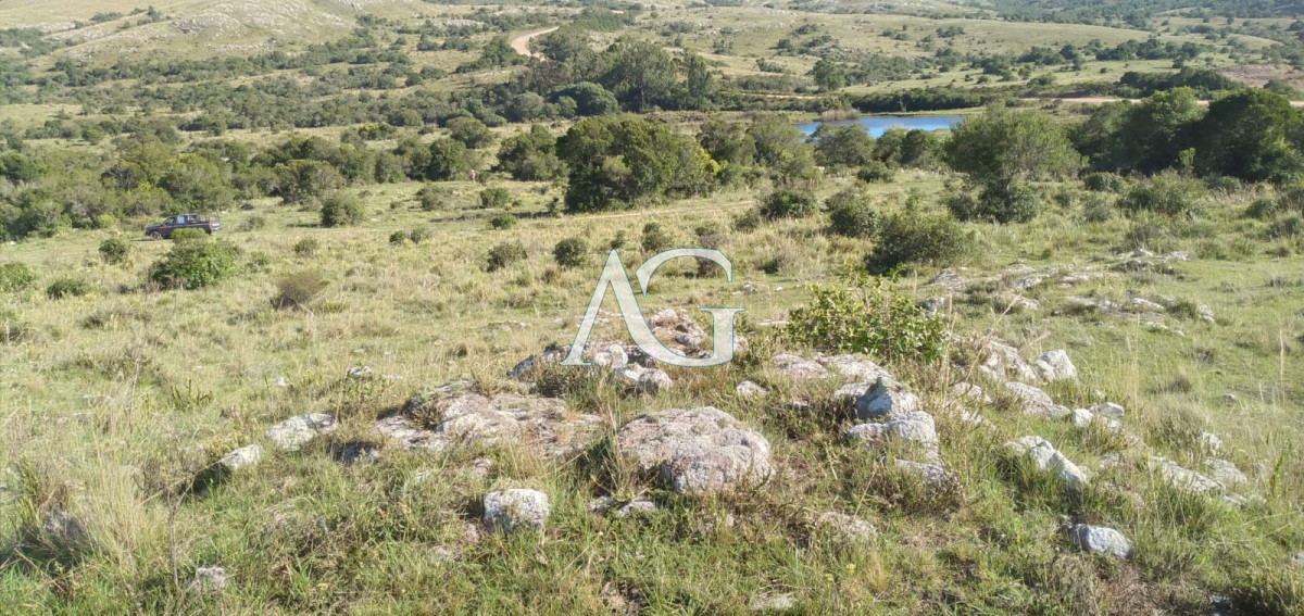 Chacra ID.182 - Venta de Chacra de 10 Ha en Aigua