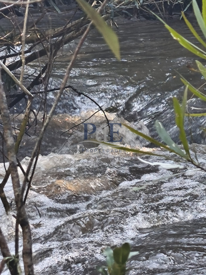 Venta de Chacra 6 Ha con casa comoda - Imagen 6