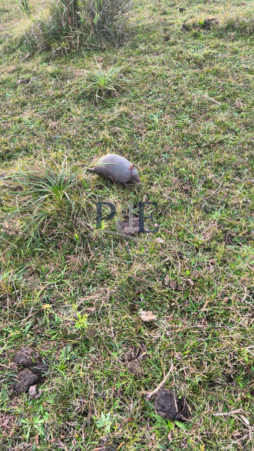 Venta de Chacra | 5 Ha., Maldonado. - Imagen 2