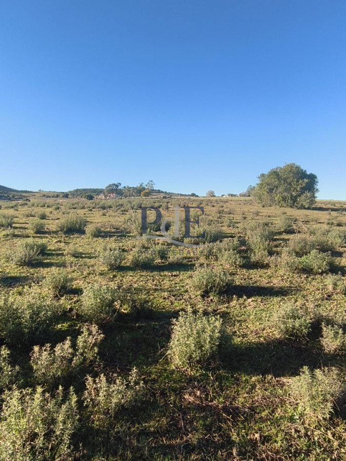 Venta de Chacra 6 Ha con casa comoda - Imagen 8