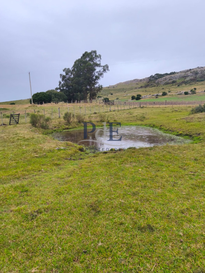 Venta de Chacra 6 Ha con casa comoda - Imagen 3