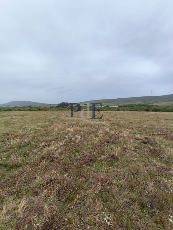 Venta de Chacra 6 Ha con casa comoda - Imagen 10