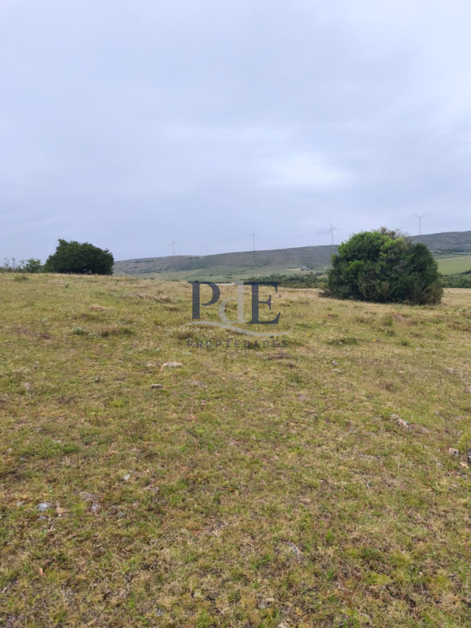 Venta de Chacra 6 Ha con casa comoda - Imagen 7