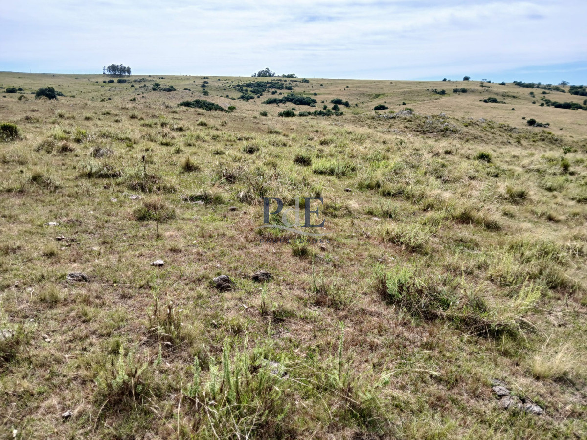 Venta de Chacra | 5 Ha., Maldonado. - Imagen 3