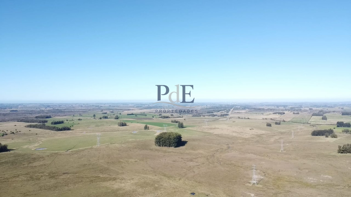 Venta de Campo de 103 Has Partido Norte - Imagen 3