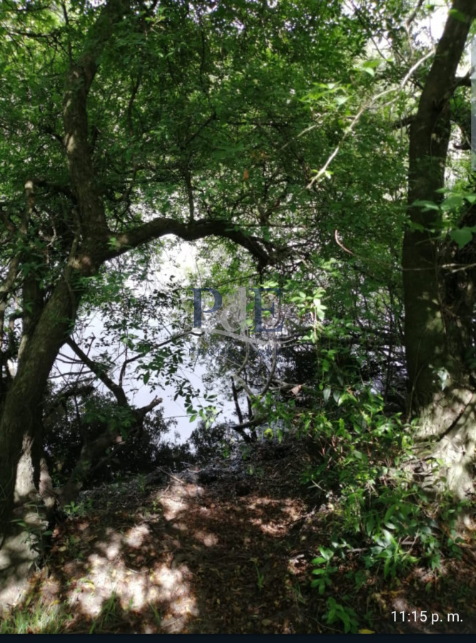 Venta de campo de 22 Ha en Zanja de Chavez. - Imagen 2