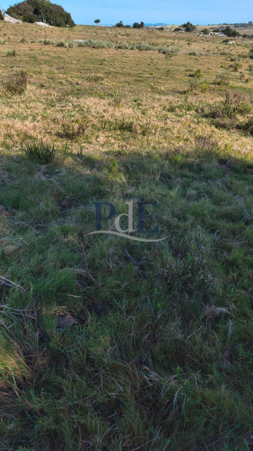 Venta de campo 133 Ha Maldonado - Imagen 3