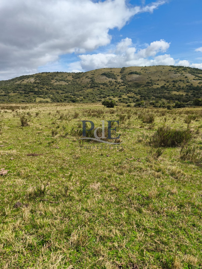 Venta de Campo de 150Ha en Lavalleja - Imagen 2