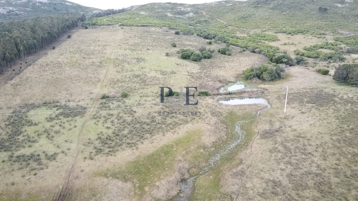 Venta de Campo de 25 Ha ruta 60. Maldonado. - Imagen 3