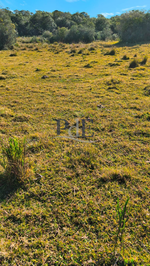 Venta de campo 133 Ha Maldonado - Imagen 1