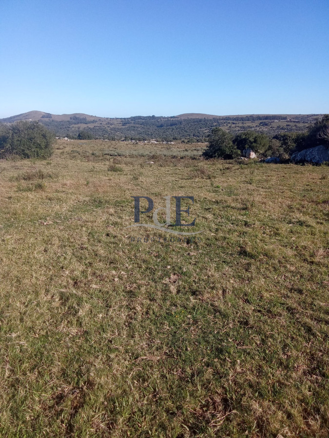 Venta de campo 133 Ha Maldonado - Imagen 2