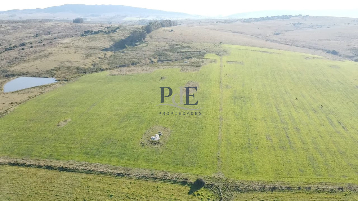 Venta de campo de 103 Has en Las Cañas. Maldonado. - Imagen 6