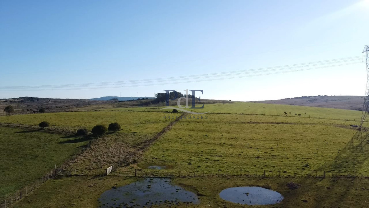 Venta de campo de 103 Has en Las Cañas. Maldonado. - Imagen 3