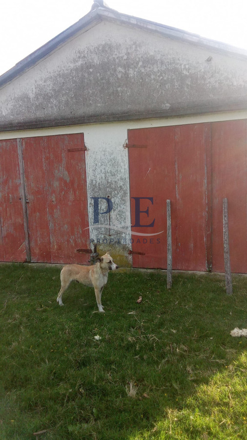 600 Hectáreas en Zona de Carapé, Lavalleja. - Imagen 3