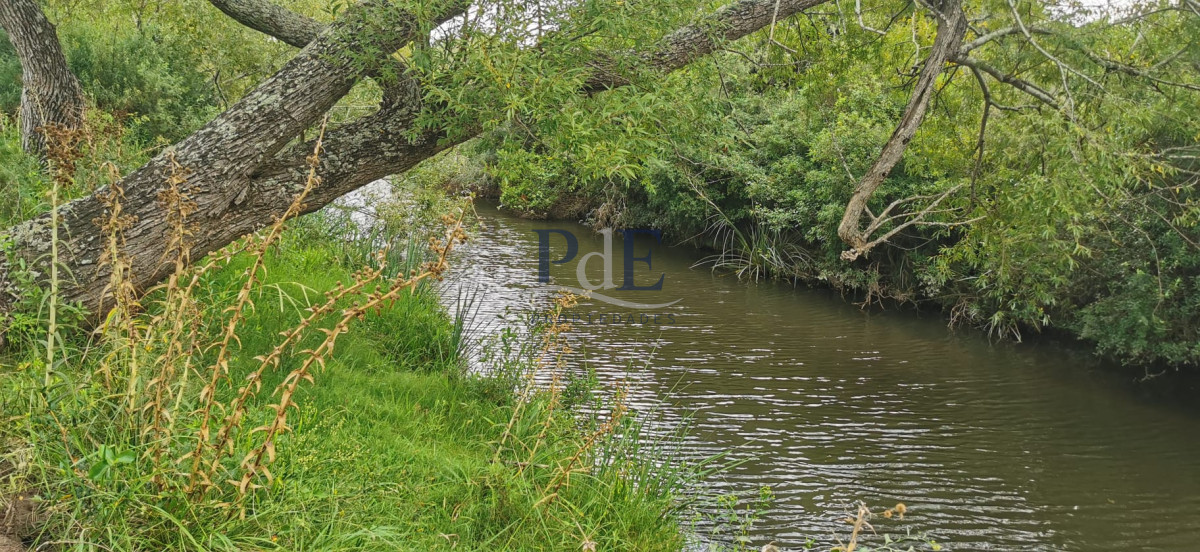 Campo agrícola, ganadero ubicado en un entorno natural. Maldonado - Imagen 2