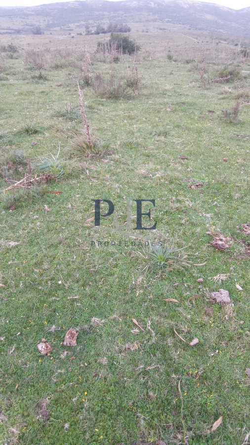 600 Hectáreas en Zona de Carapé, Lavalleja. - Imagen 10