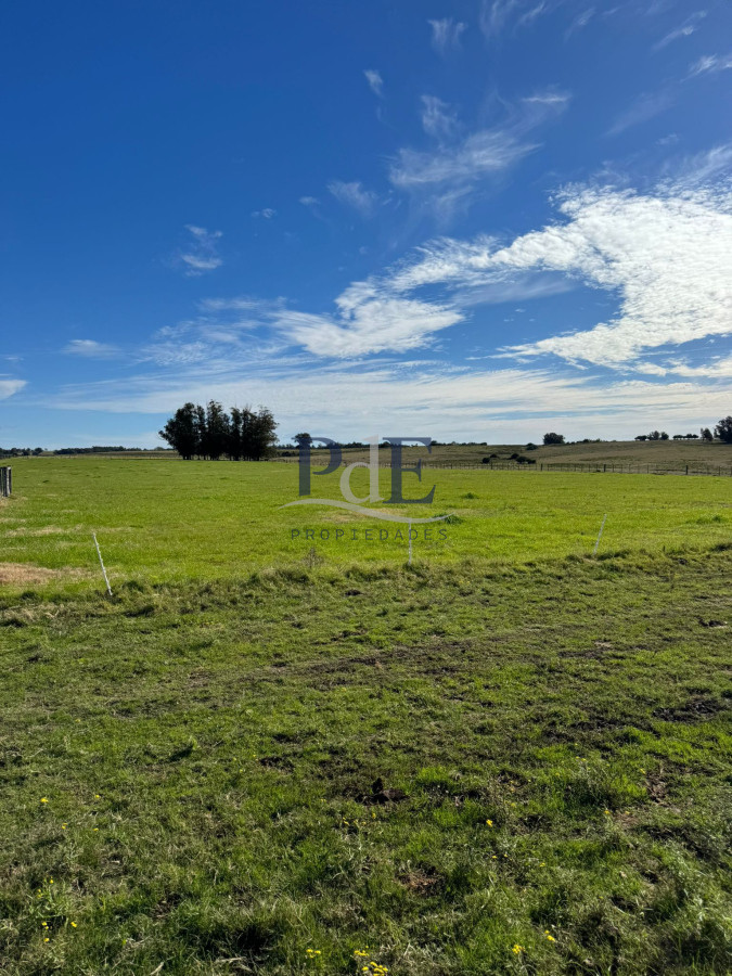 Venta de Campo de 21 Ha en Jose Ignacio.