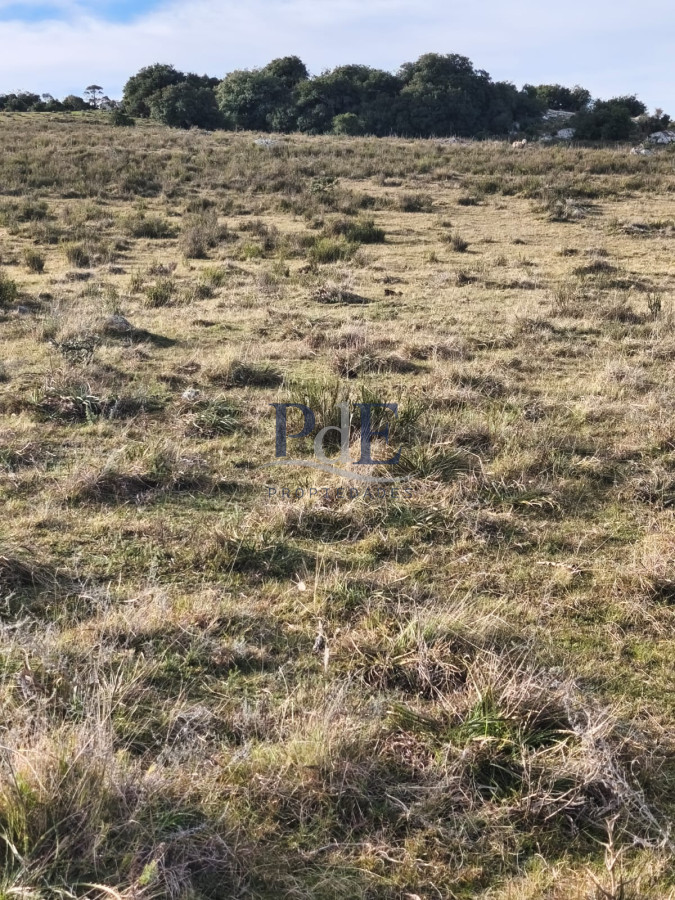 Venta de campo de 240 Has Zona Las Cañas. - Imagen 7