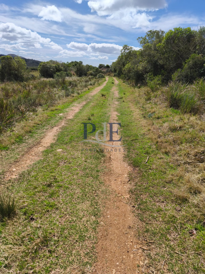 Venta de Campo de 150Ha en Lavalleja - Imagen 9