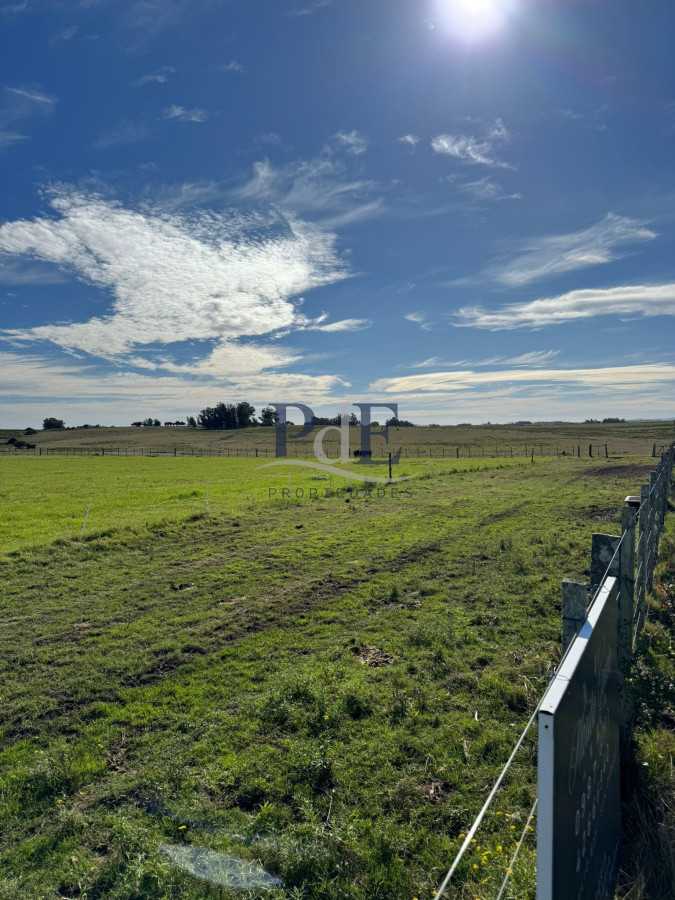 Venta de Campo de 21 Ha en Jose Ignacio. - Imagen 2