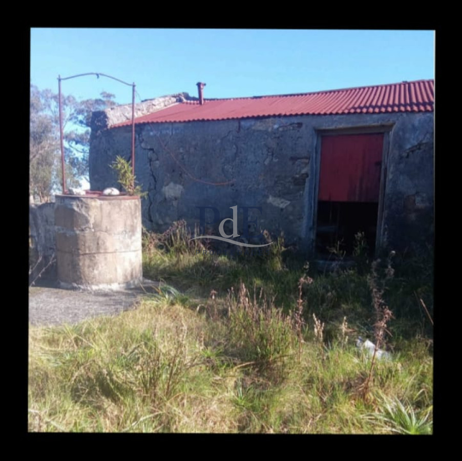 Venta de campo 133 Ha Maldonado