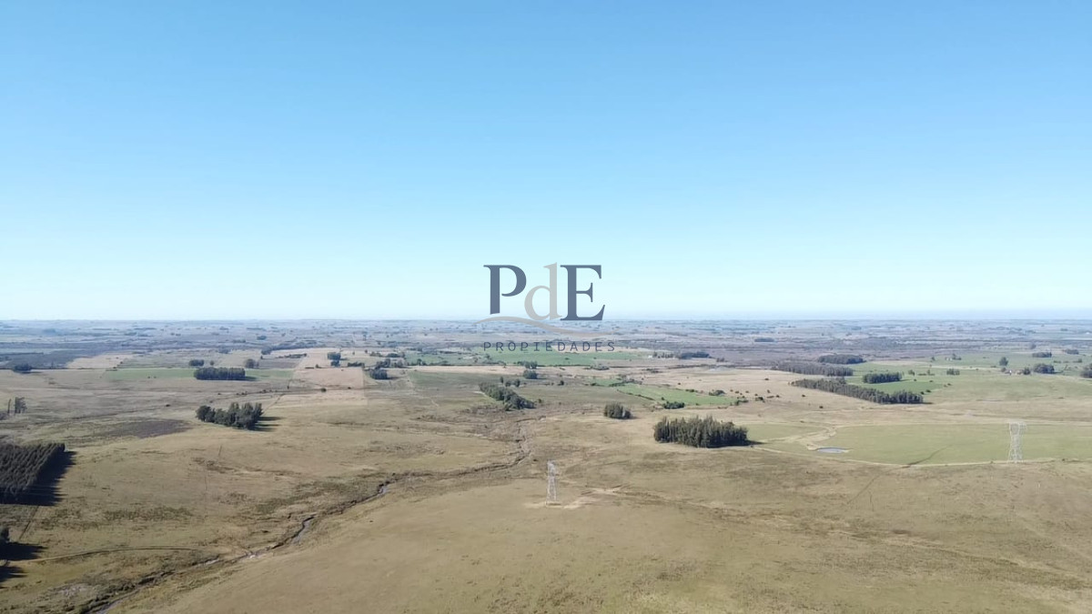 Venta de Campo de 103 Has Partido Norte - Imagen 1