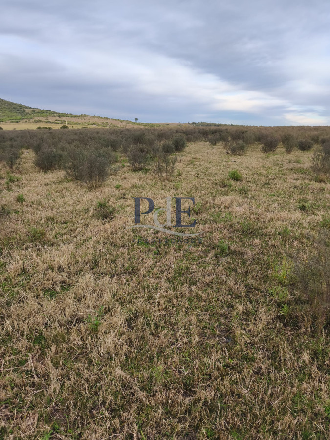 Venta de Campo de 25 Ha ruta 60. Maldonado. - Imagen 4