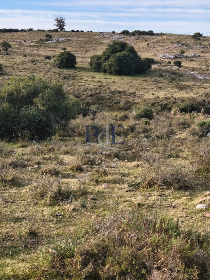 Venta de campo de 240 Has Zona Las Cañas. - Imagen 8