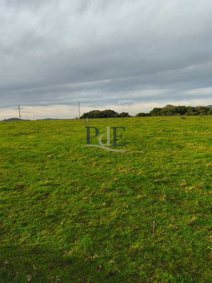 Venta de campo de 34 Has en Pan de Azucar - Imagen 3