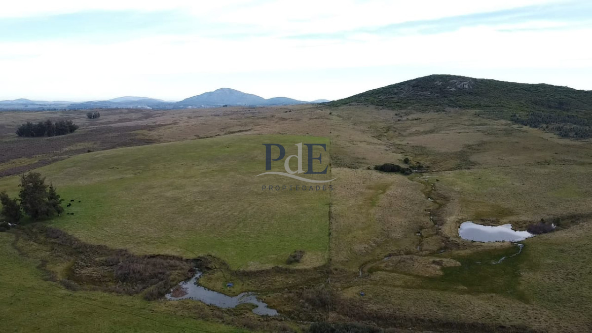 Venta de campo de 34 Has en Pan de Azucar - Imagen 2