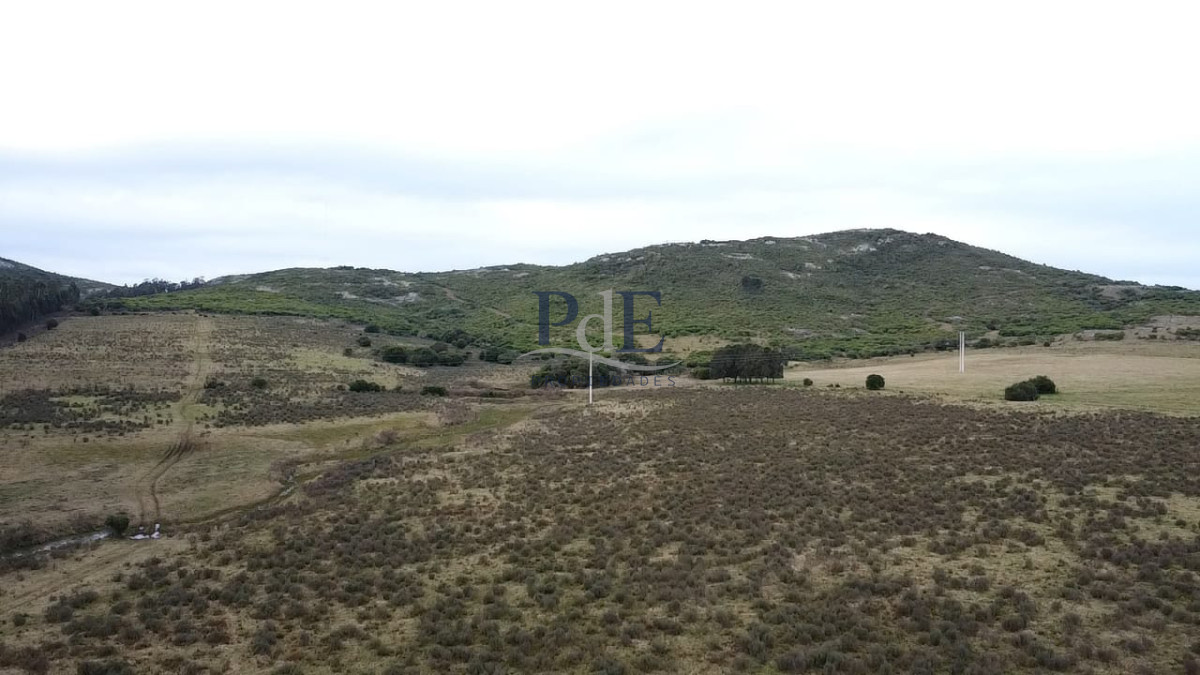 Venta de Campo de 25 Ha ruta 60. Maldonado. - Imagen 6