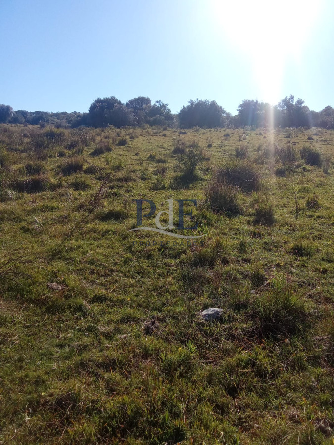 Venta de campo de 22 Ha en Zanja de Chavez.