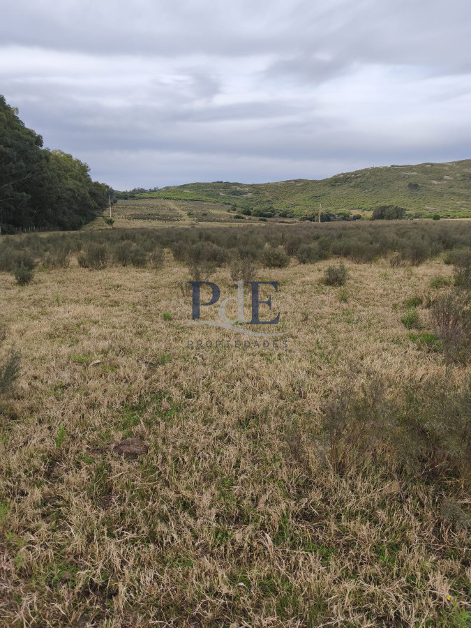 Venta de Campo de 25 Ha ruta 60. Maldonado. - Imagen 1