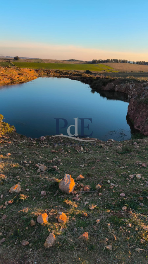 Venta de campo de 103 Has en Las Cañas. Maldonado. - Imagen 9