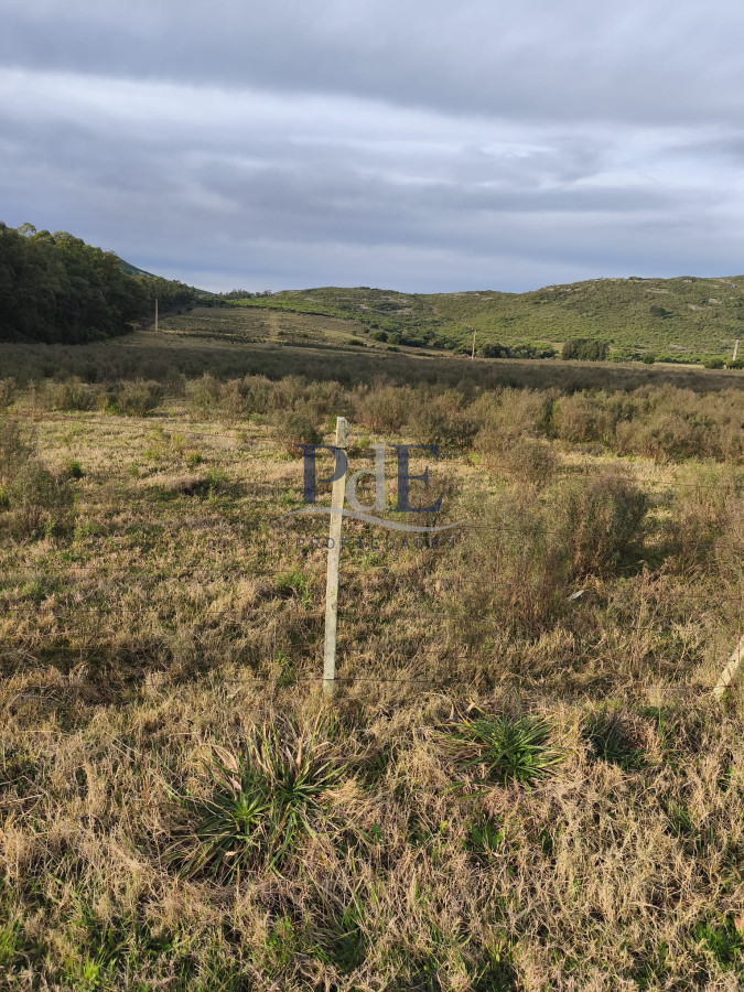 Venta de Campo de 25 Ha ruta 60. Maldonado. - Imagen 2