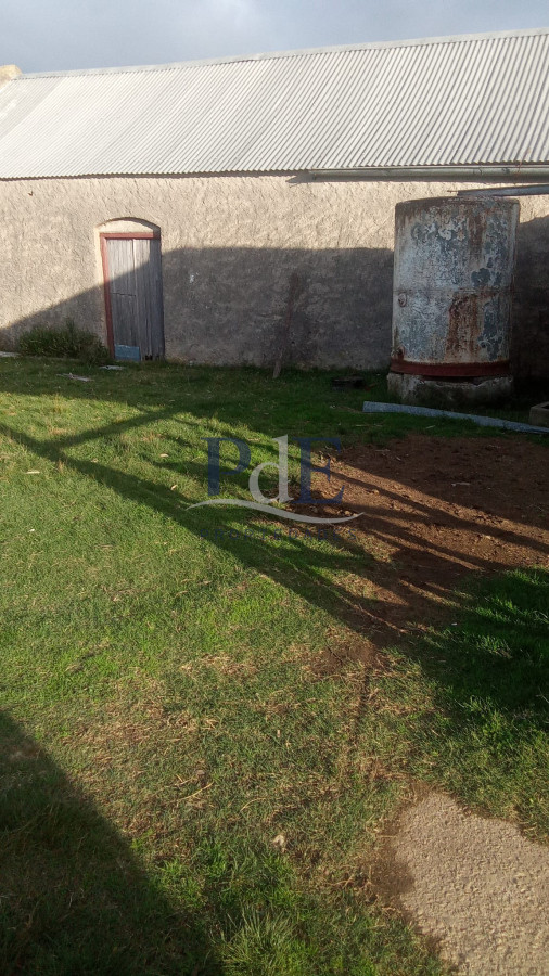 600 Hectáreas en Zona de Carapé, Lavalleja. - Imagen 1